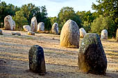 Megaliti neolitici nella zona di Evora. Cromeleque dos Almendres.